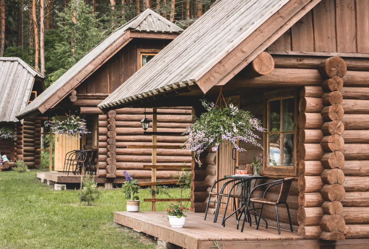 Campsite Metsaluige Turismitalu *
