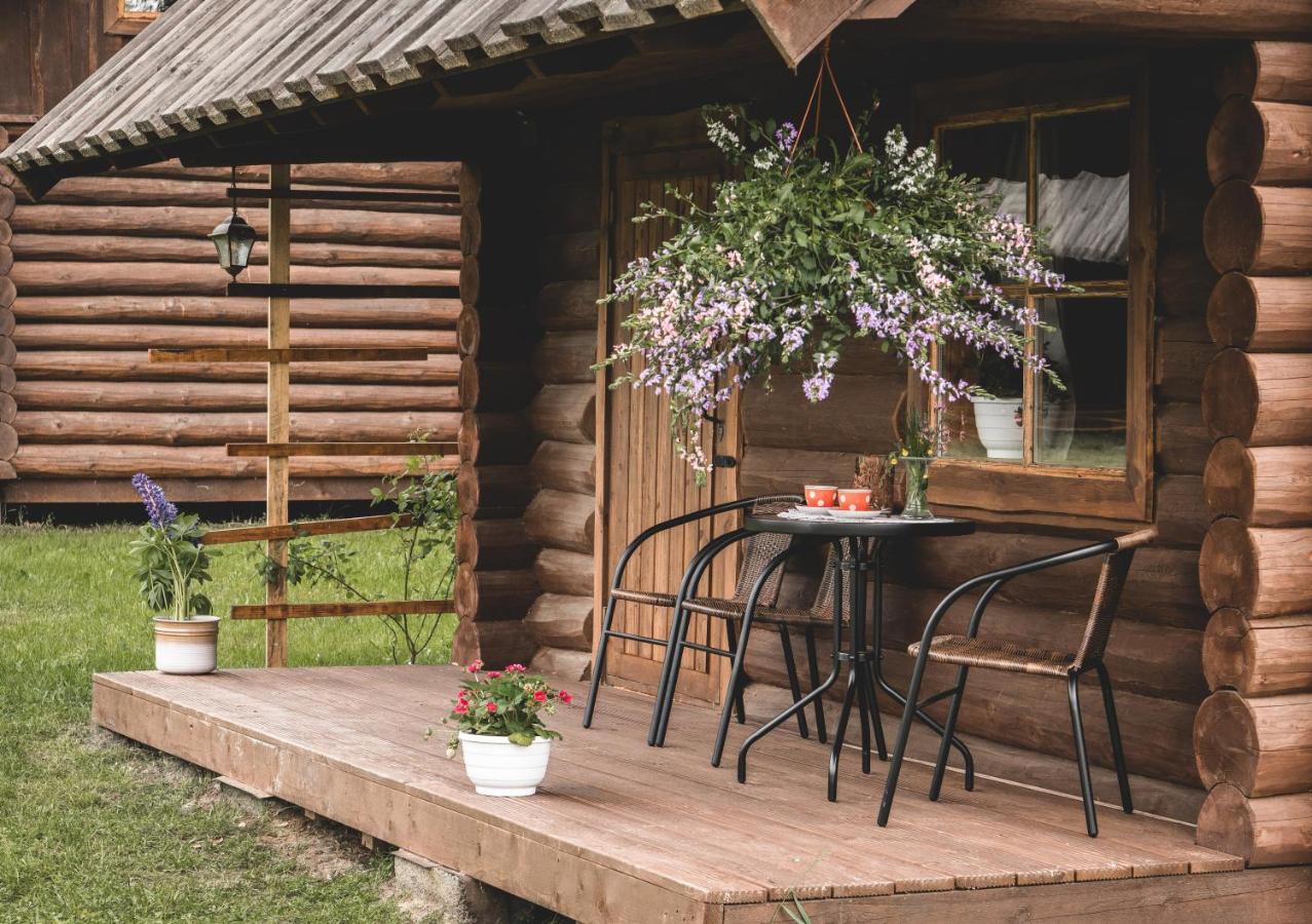 Campsite Metsaluige Turismitalu *