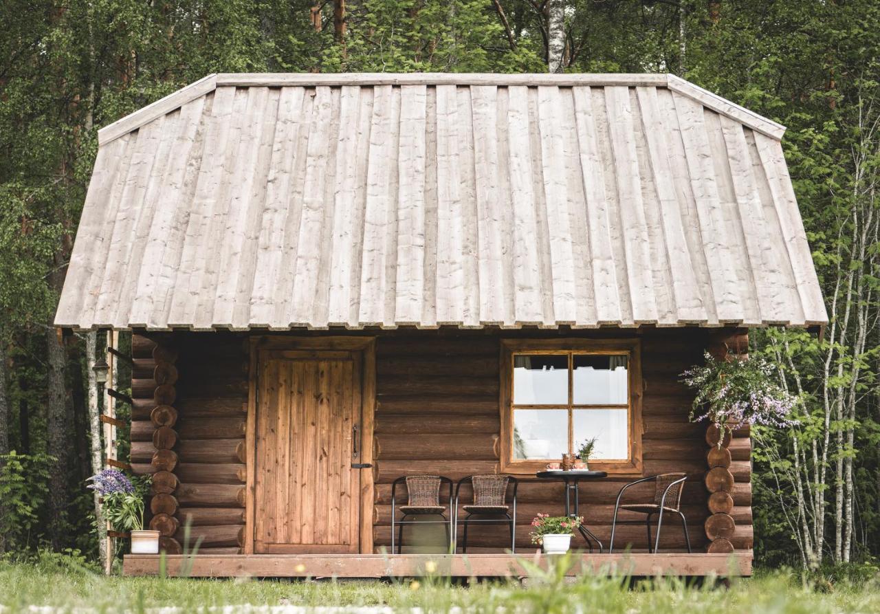 Metsaluige Turismitalu Campsite