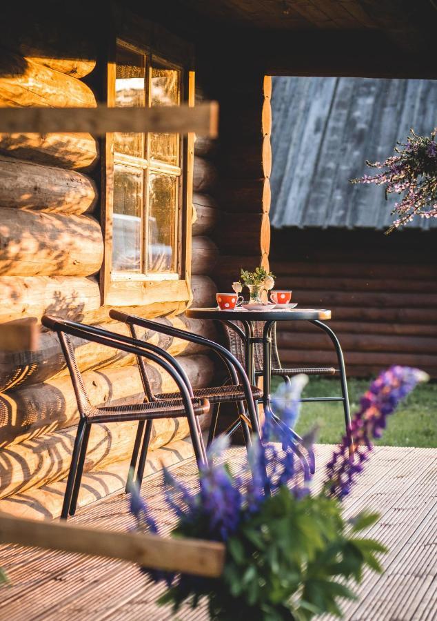 Campsite Metsaluige Turismitalu