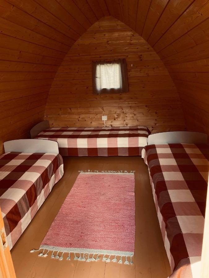 Metsaluige Turismitalu Campsite *