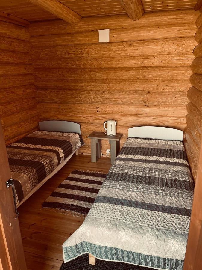Campsite Metsaluige Turismitalu *